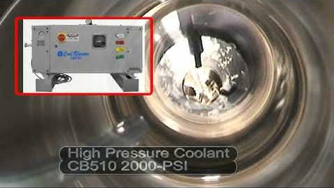 Citizen A20 Bone Screw