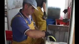 La pesca del palangre a Palamós