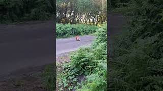 VID 20260623 WA0053 VID 20260623 WA0053