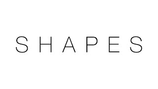 S H A P E S  ❮ experiment ❯ Net Worth