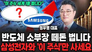 반도체 소부장 이제 시작입니다, 이 종목 곧 미친듯이 오른다 (정우영 대표 / 증시임당)