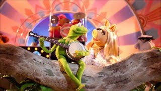 Video thumbnail of "Os Muppets - Conexão do Arco-íris (Rainbow Connection)"