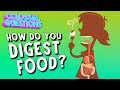 Understanding Digestion