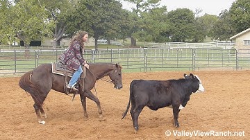 Pepto Shmepto - working cows #1 - Valley View Ranch