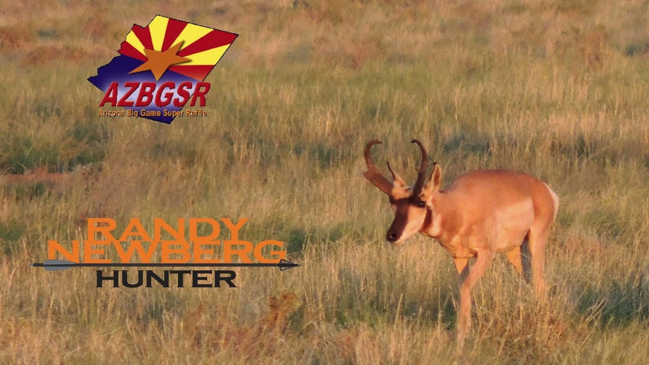 Arizona Super Raffle Supports Conservation and YOU Might Win, with Randy Newberg