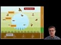 Ecosystem Interactions and Biodiversity Explained