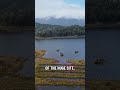 Gold mine company OceanaGold has restored more than 130 hectares of land near Reefton on the West…