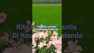 Download Lagu Kita bikin romantis di Keukenhof Belanda #belanda  #belandaindonesia #bungatulip #kitabikinromantis MP3 Download Lagu Kita bikin romantis di Keukenhof Belanda #belanda  #belandaindonesia #bungatulip #kitabikinromantis MP3