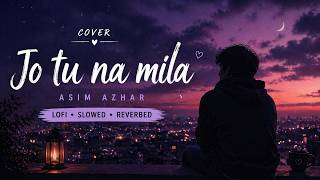 Jo Tu Na Mila (Lofi Slowed   Reverb Cover) – Asim Azhar | Sad Chill Vibes