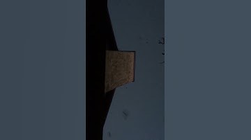 Bats Flying out of Attic - Signs of Bat Activity