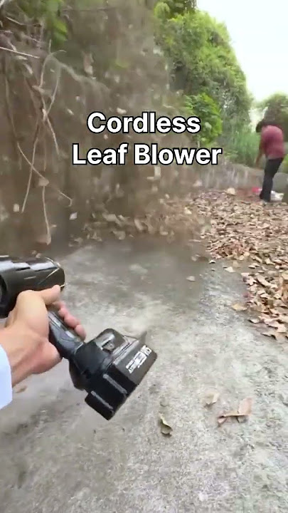 Cordless Leaf Blower
