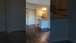 STUDIO, Newly Renovated. 550 SqFt. NEWPORT Floorplan.