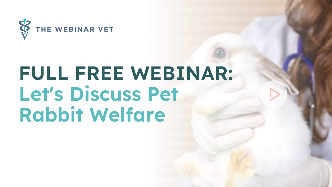FREE WEBINAR: Let's Discuss Pet Rabbit Welfare
