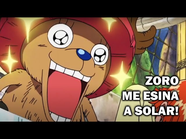 O Zoro é Pai Solteiro?? Zoro e Chopper PERGUNTAS e RESPOSTAS no One Piece  Vr!! - BiliBili