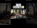 そうだ日光へ行こう#shorts