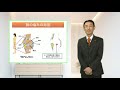 膝の痛みの原因と治し方・治療法