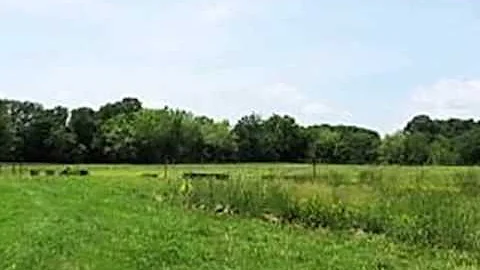 Homes for Sale - 995 Gilbreath Mill Rd Mosheim TN ...