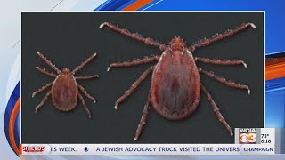 Asian longhorned tick found in Illinois for the first time