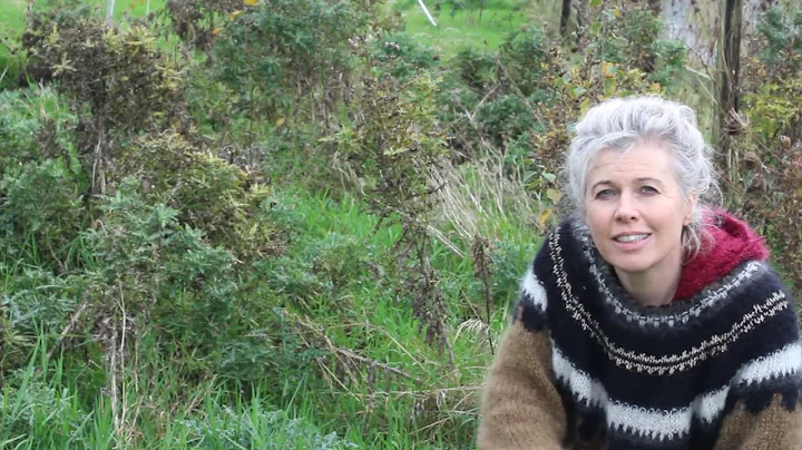 The need for the wild native and self willed plants