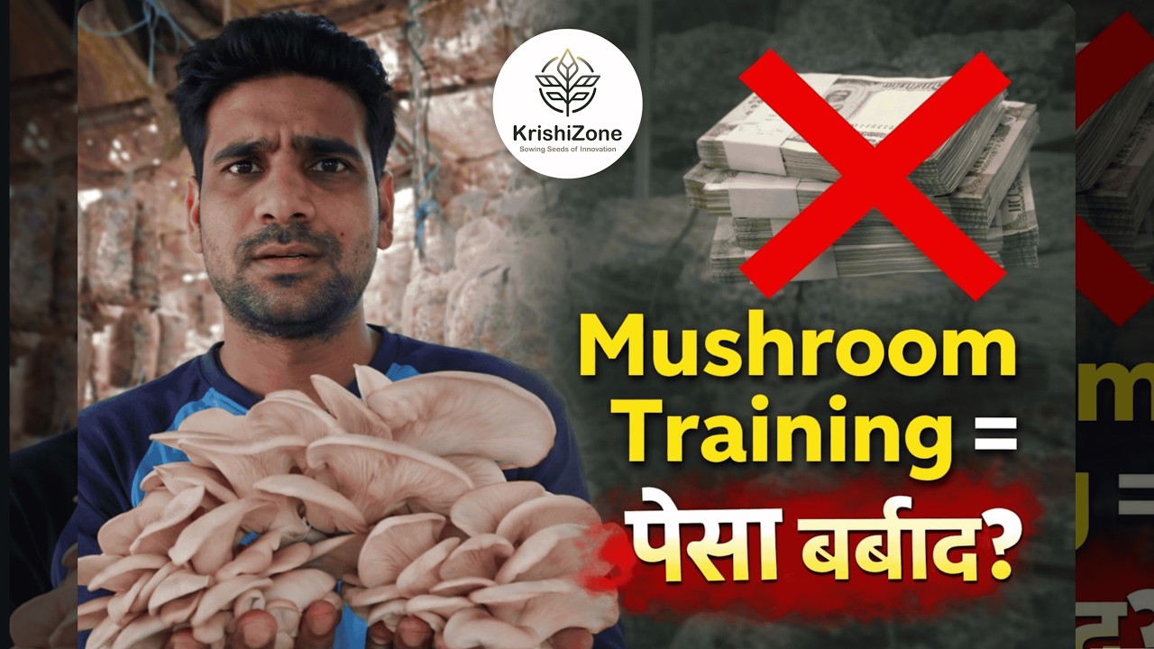 Mushroom Training लेने से पहले ये सच जान लो – वरना लाखों डूब सकते हैं | KrishiZone