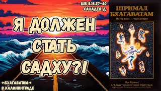 Я должен стать садху?! Сахадев д. ШБ.5.14.37-40