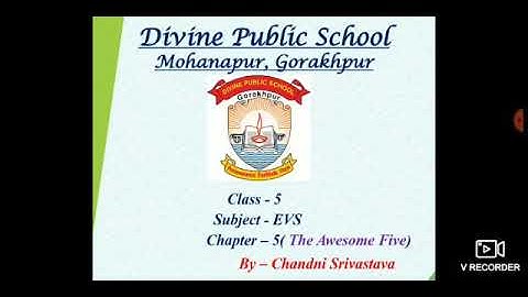 Class 5 Ch-5 sub-EVS(The Awesome Five) By- Chandni Srivastava