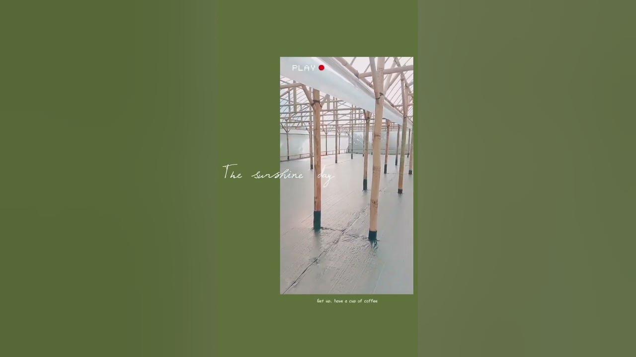 Greenhouse Bambu