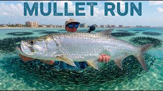 CONQUERING THE FLORIDA MULLET RUN! (5 STRAIGHT DAYS!)