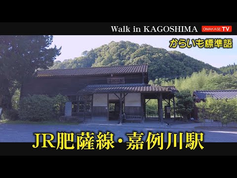 DJI Pocket２ Walk in japan　嘉例川駅　　からいも標準語　Walk in Kagoshima　おまかせテレビ