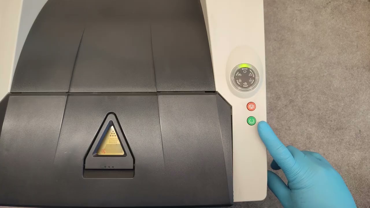 maxresdefault.jpg?sqp=-