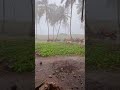 Dominican Republic. Tropical rain./Доминикана, тропический ливень)