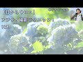 【目からウロコ】アジサイ撮影テクニック!