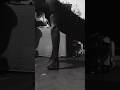 🥊🥊get iron knucl #saurabh #viralvideo #saurabh boxer