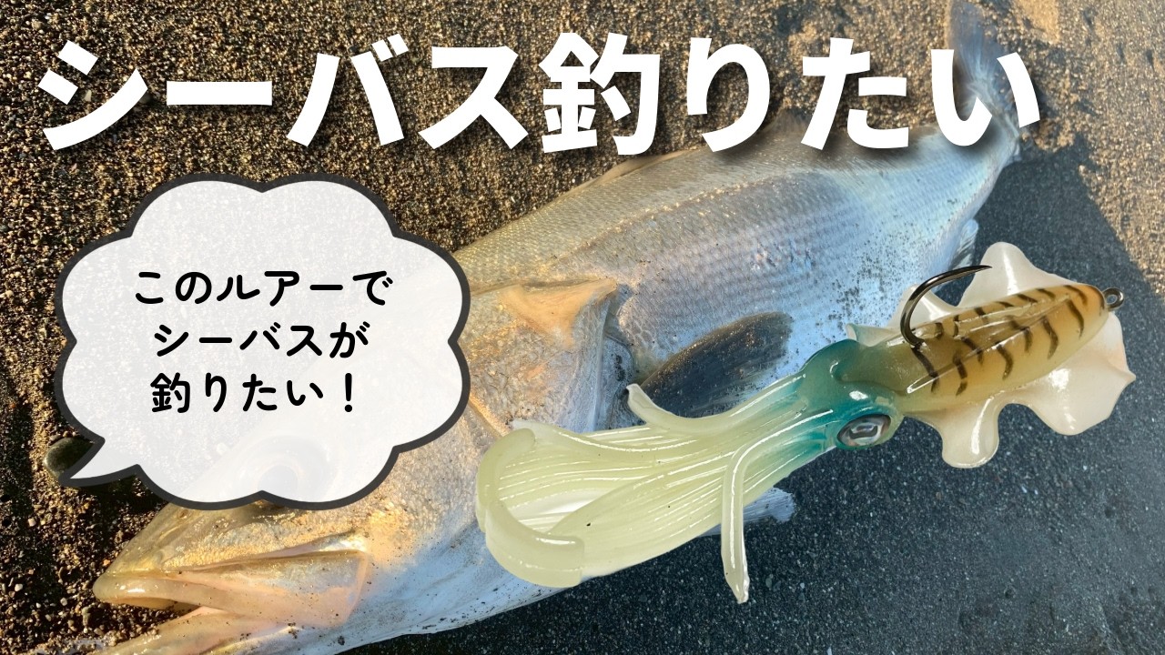 このルアーでシーバスが釣りたい！