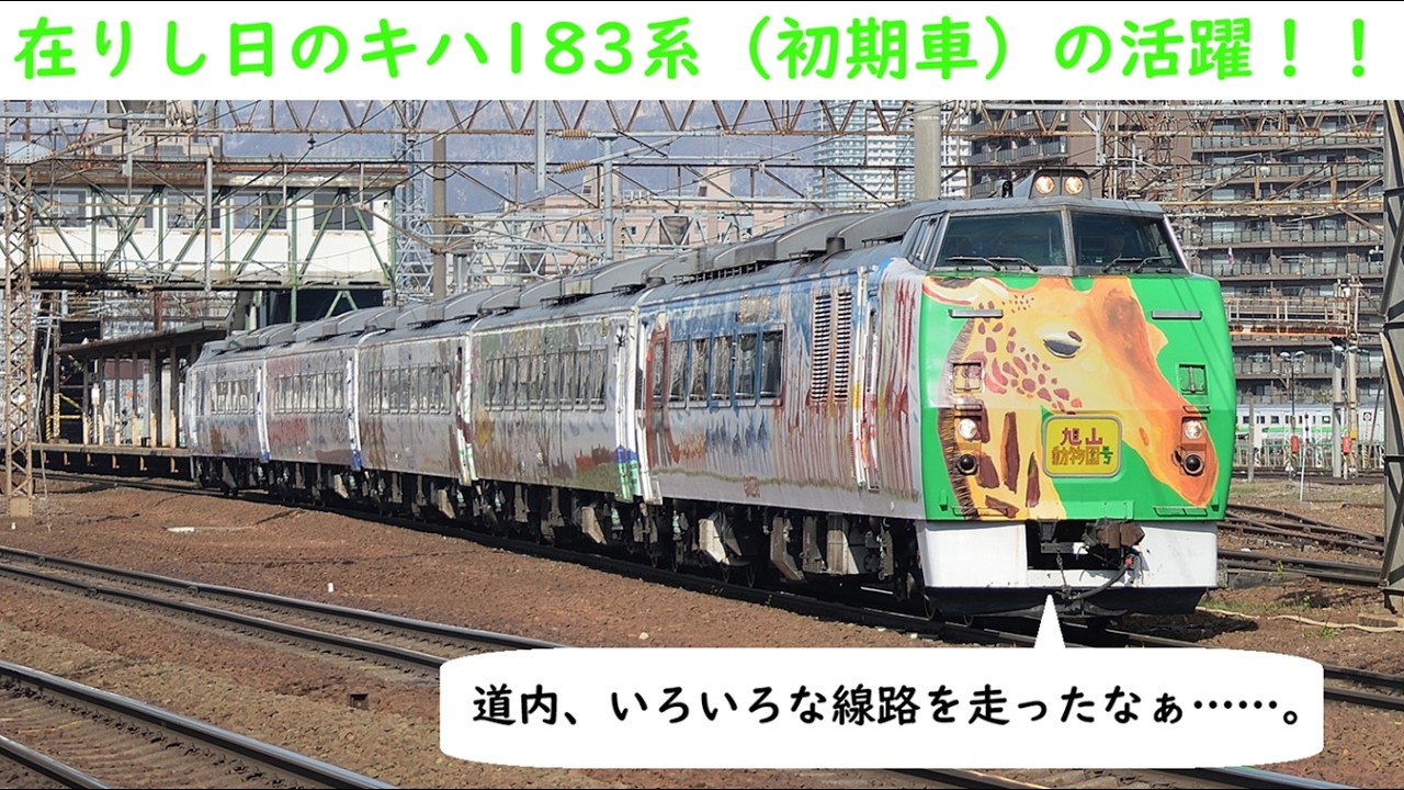 懐かしのキハ183系の臨時特急「旭山動物園」号、「ニセコ」号、特急
