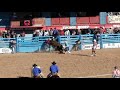 Tucson rodeo 2018