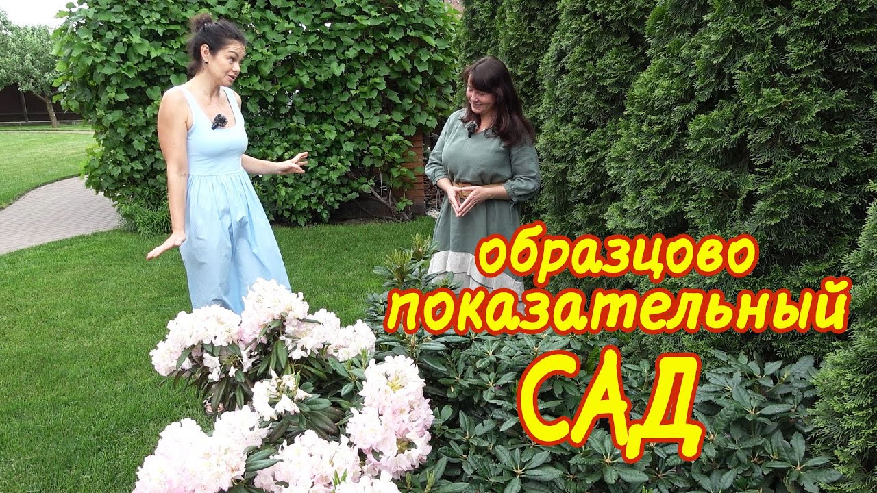 Идеальный КОТТЕДЖНЫЙ САД своими руками за 10 лет! Стильный сад в стиле МИНИМАЛИЗМ.