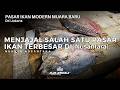Pasar Ikan Modern Muara Baru | Menjajal Salah Satu Pasar Ikan Terbesar Di Nusantara | Jejak Jenggala