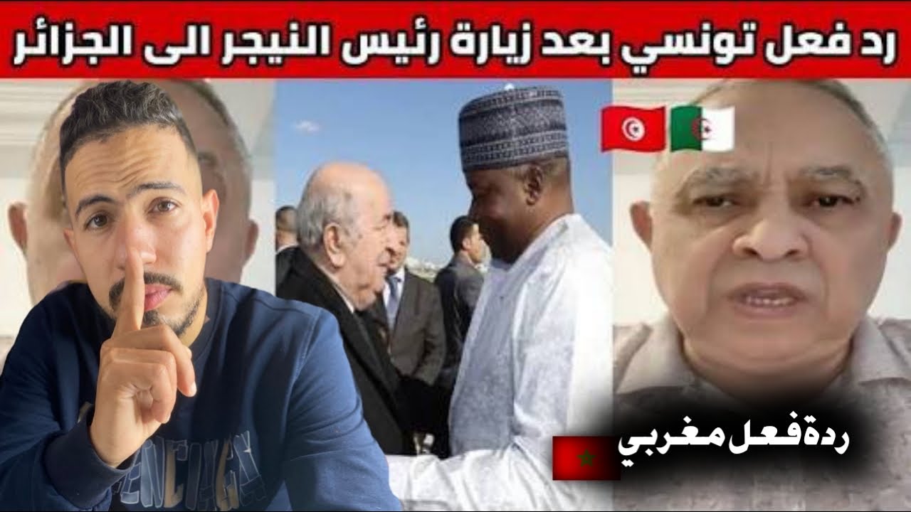 ردة فعل مغربي 🇲🇦 على كذا قال هذا التونسي 🇹🇳 بعد زيارة رئيس النيجر  🇳🇪 الى الجزائر 🇩🇿 و لقائه مع ...