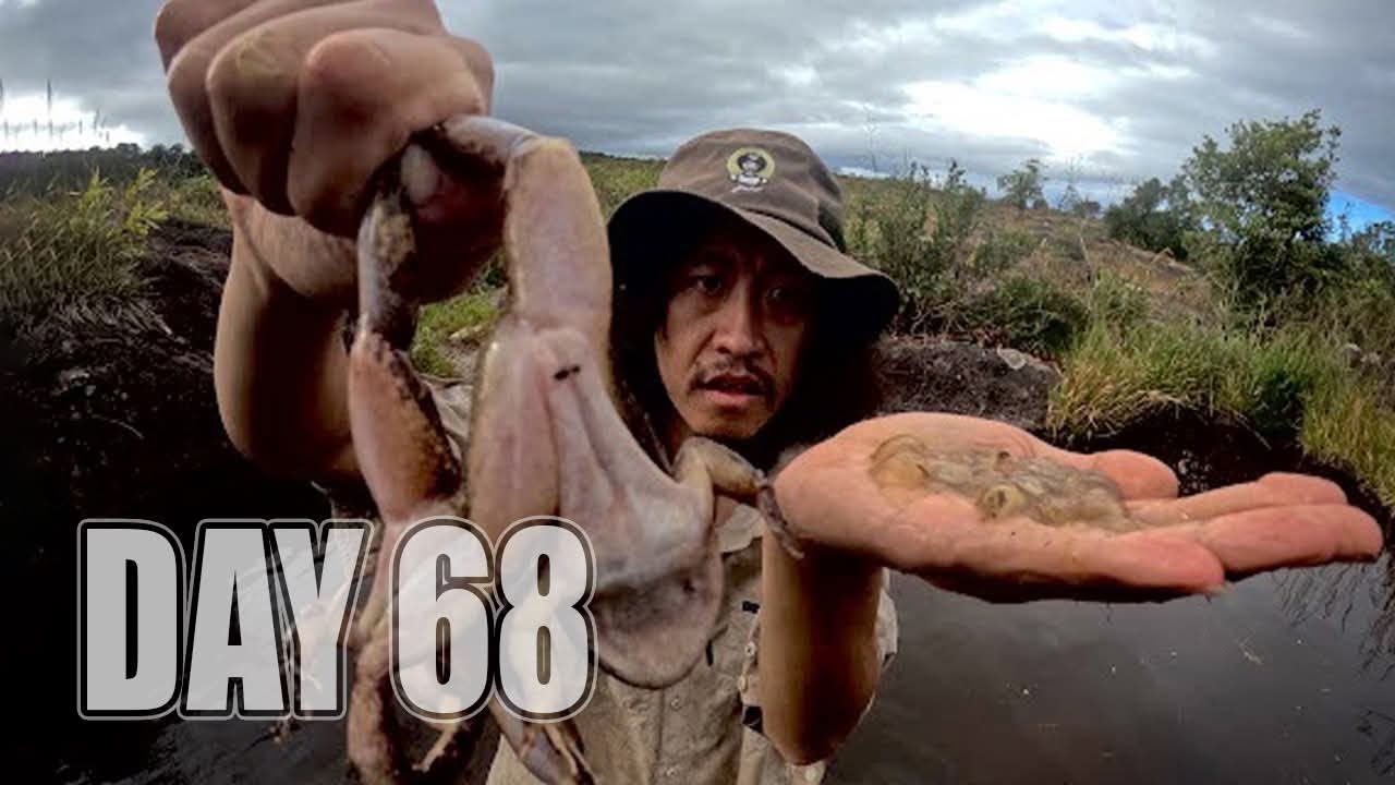 เอาชีวิตรอด DAY 68 แหล่งน้ำและแหล่งอาหารใหม่บนเขาสูง ...!! [ โจโฉ ]