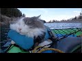 Good Vibes Kayak Cat