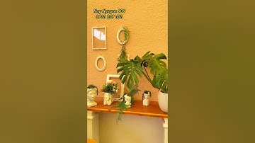 Cafe Tour - Mỗi Ngày Một Quán Cafe ở Phan Thiết