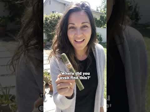 AI Video Ad Sample