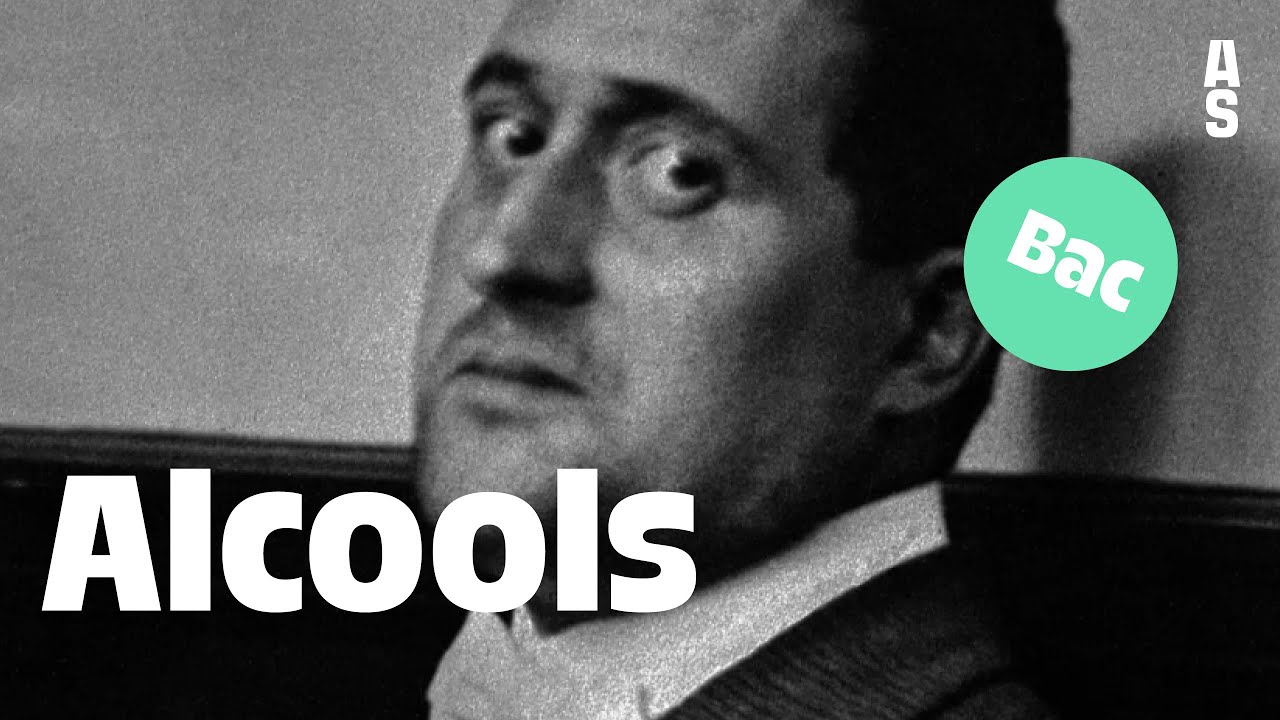 Alcools, Guillaume Apollinaire Bac français 2024 YouTube
