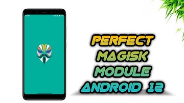 A Perfect Magisk Module is here | Android 12