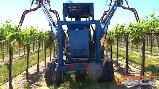 Vmech teams up with Gallo & Cornell University to Variably Rate Shoot Thin Winegrapes
