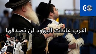 اغرب عادات وتقاليد و طقوس  اليهود التي لا يصدقها عقل ؟!! Jewish Habits