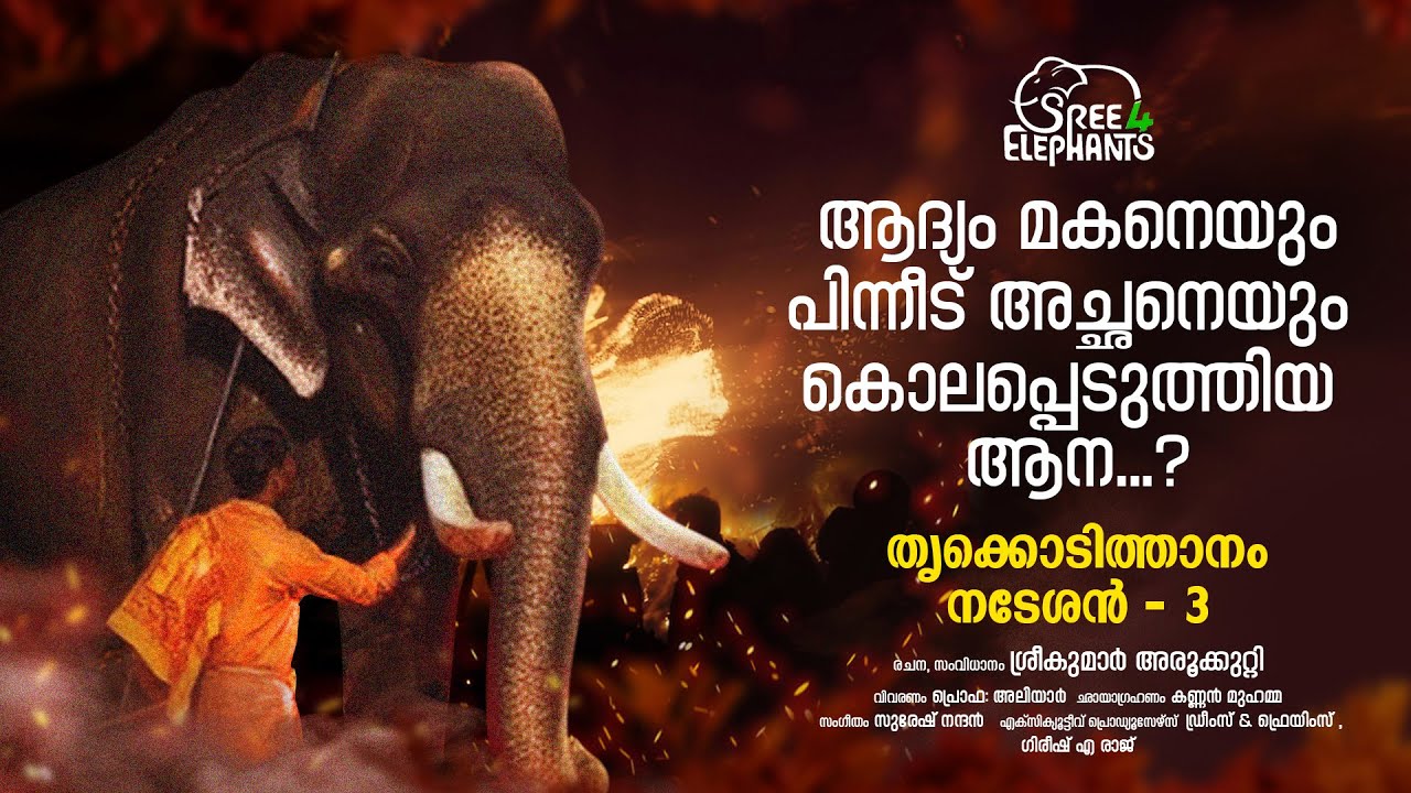 കേരളത്തിന്റെ ആനച്ചരിത്രത്തിലെ ഏറ്റവും വലിയ ദുരന്തഗാഥ...! | Sree 4 Elephants