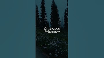 تلاوة خيالية من الشيخ سالم | خشوع و طمأنينة لا توصف ارح قلبك
