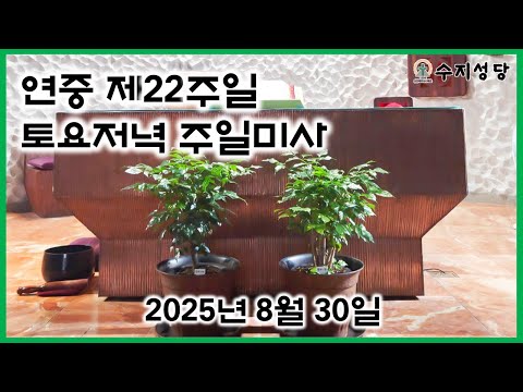 영상썸네일